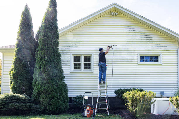 Best Concrete Surface Cleaning in Greenvle, IL